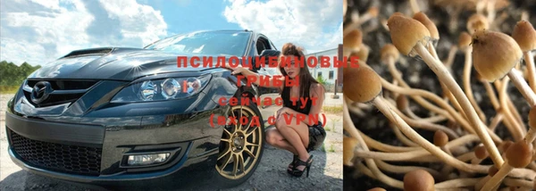 экстази Лиски