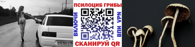 Псилоцибиновые грибы ЛСД OMG вход Юхнов